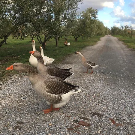 Il Nazareno Farm stay Collemezzano